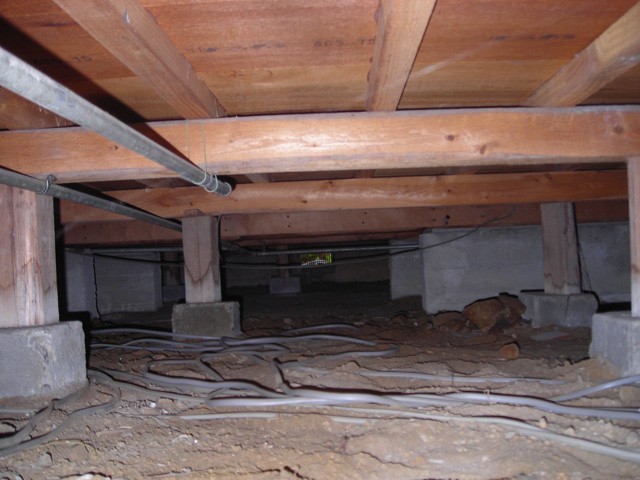 床下調査